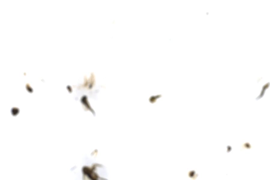 Image 113